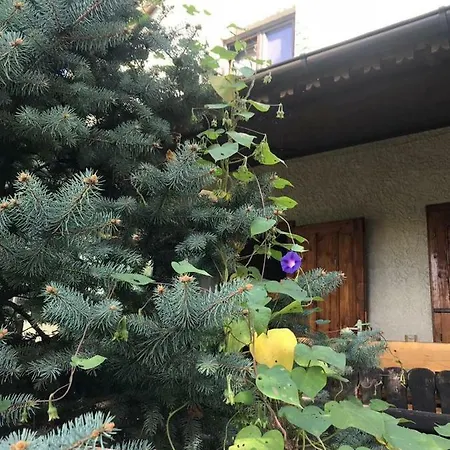 Green Villa Accommodation בית הארחה קוסטינסטי