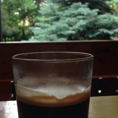 Green Villa 科斯蒂内什蒂