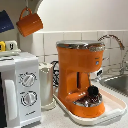 Green Villa 招待所 科斯蒂内什蒂